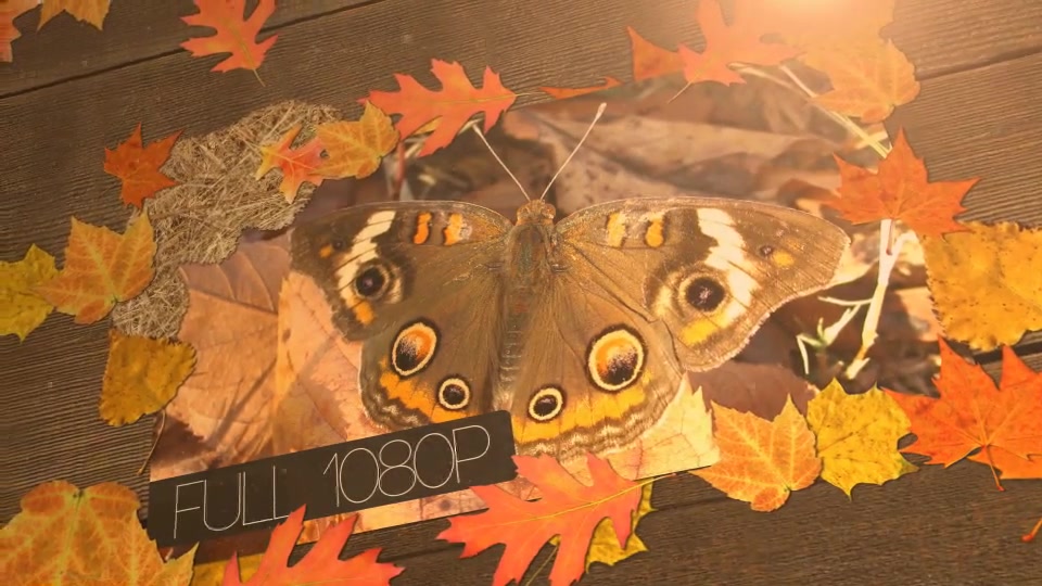 Autumn - Download Videohive 5532831