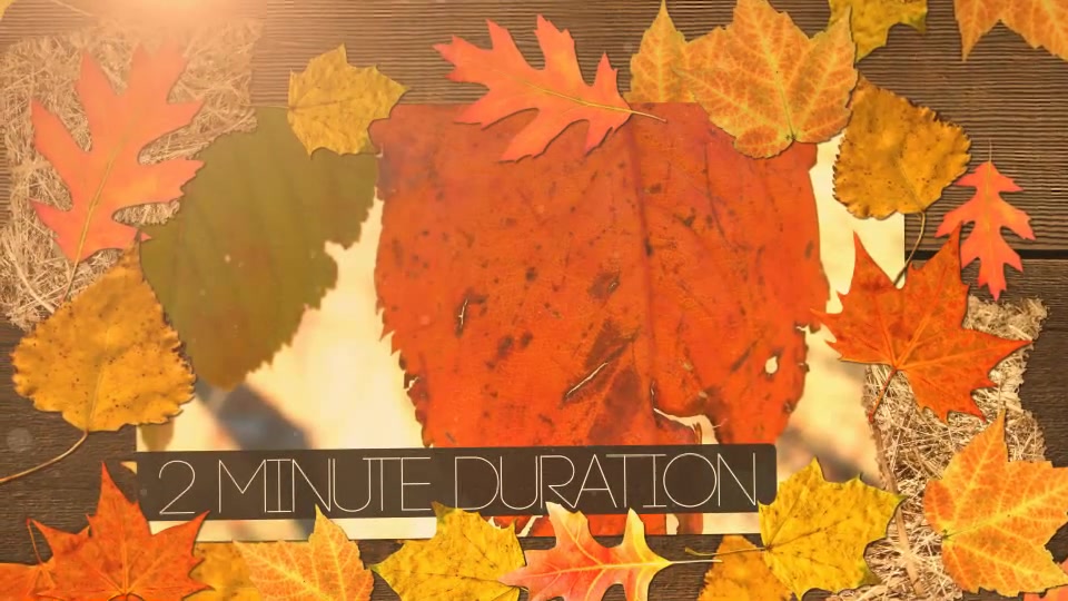 Autumn - Download Videohive 5532831