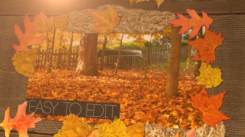 Autumn - Download Videohive 5532831