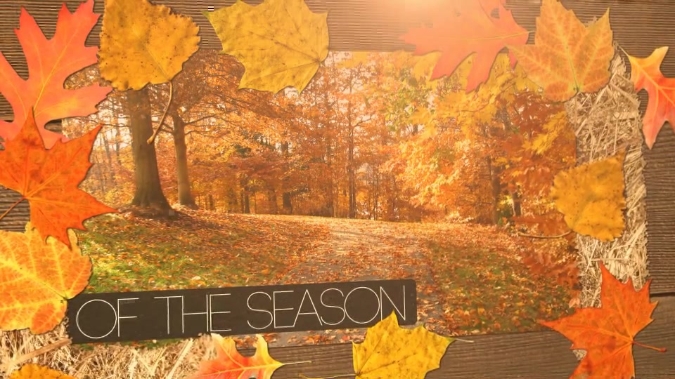 Autumn - Download Videohive 5532831