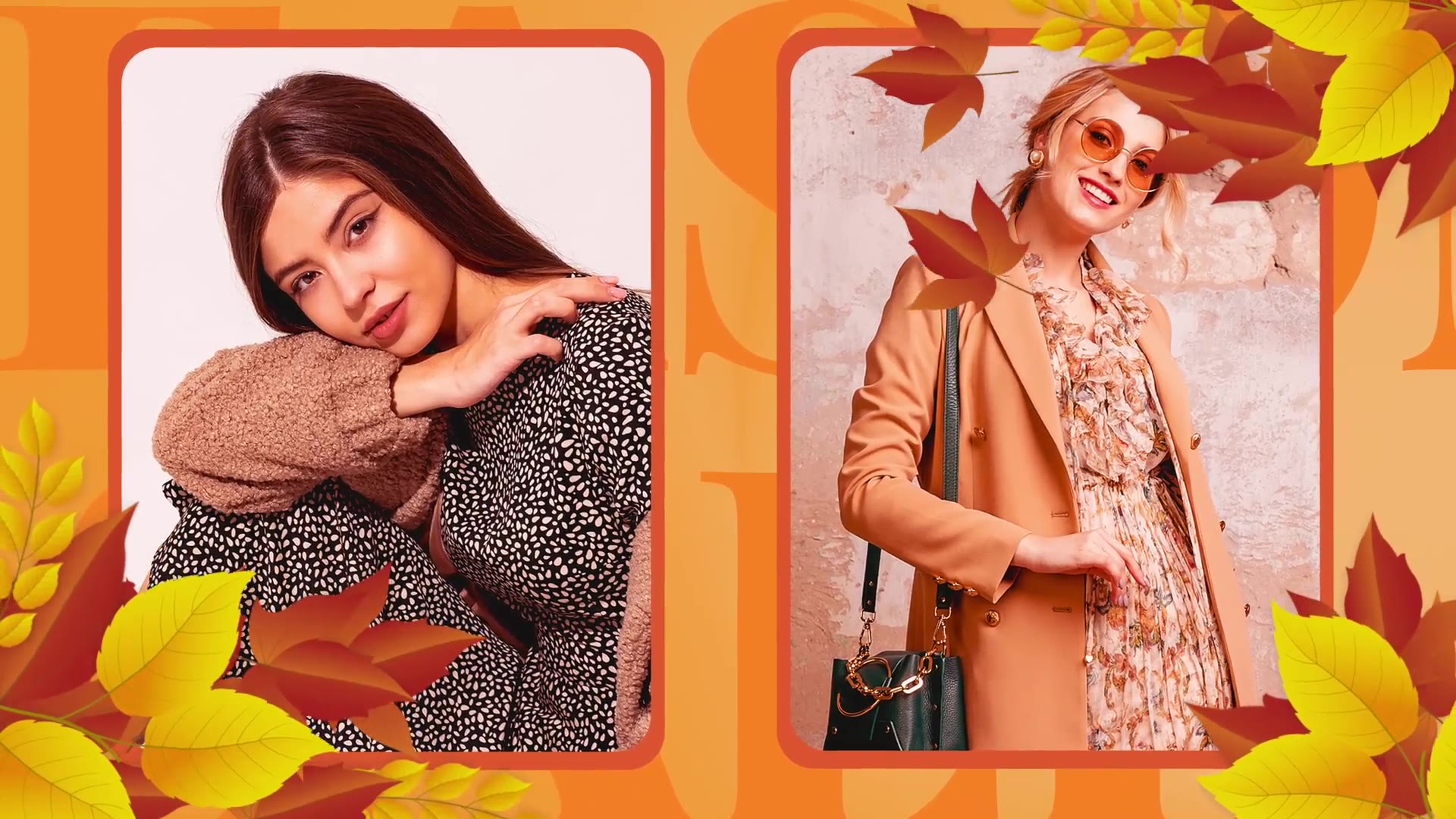 Autumn Fashion Promo Videohive 38183586 After Effects Image 6