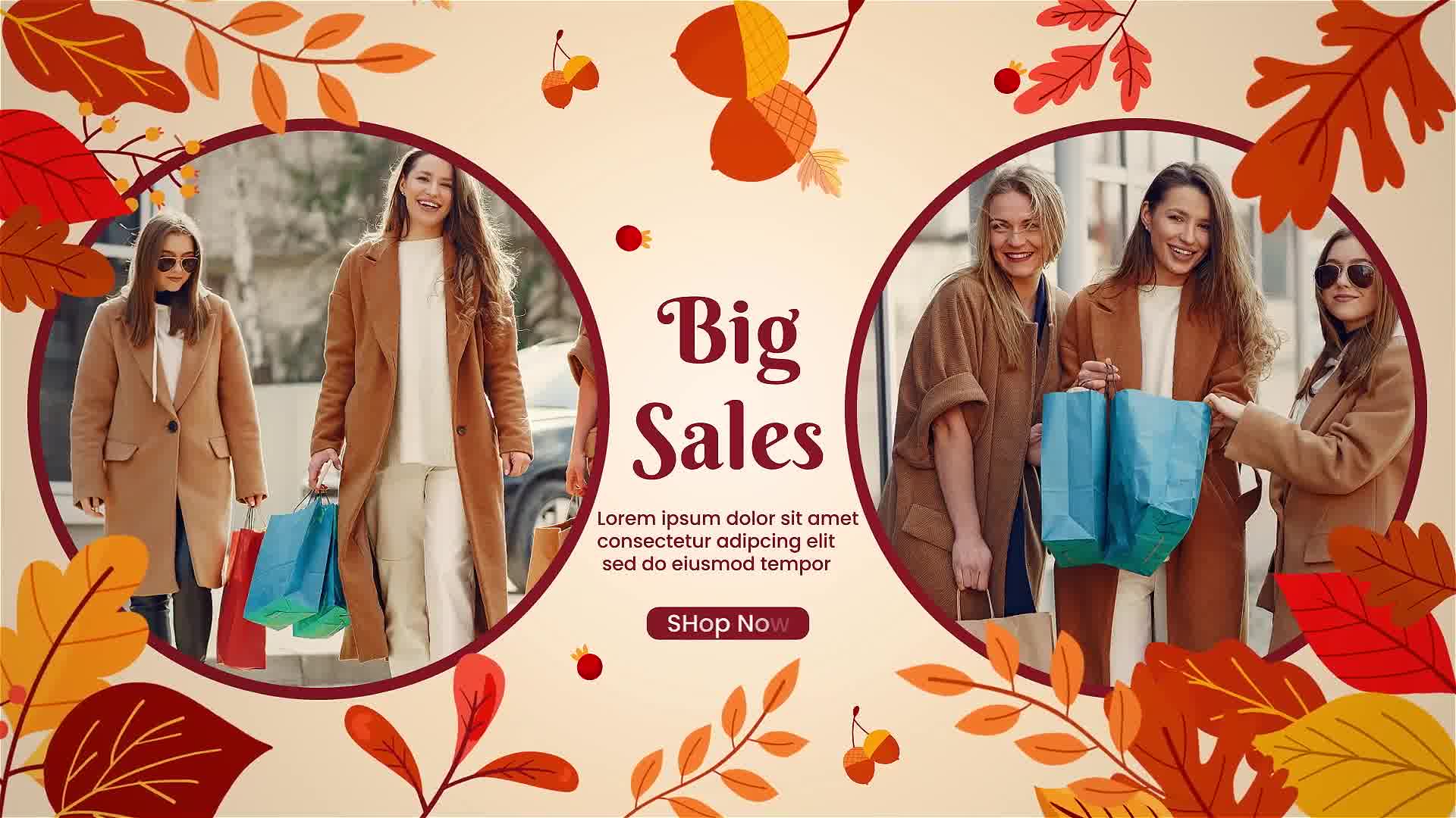 Autumn Fashion Sale Promo Videohive 39610893 After Effects Image 11