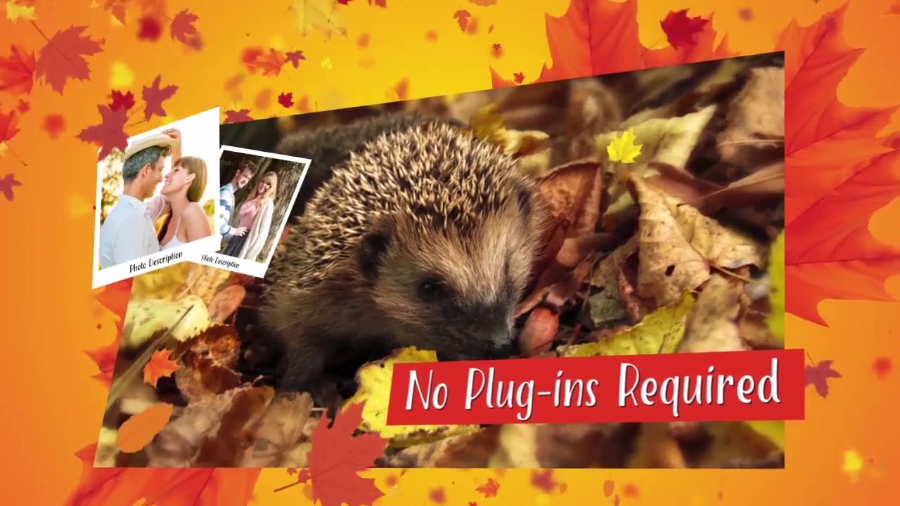 Autumn Festival Promo Videohive 17841199 After Effects Image 2