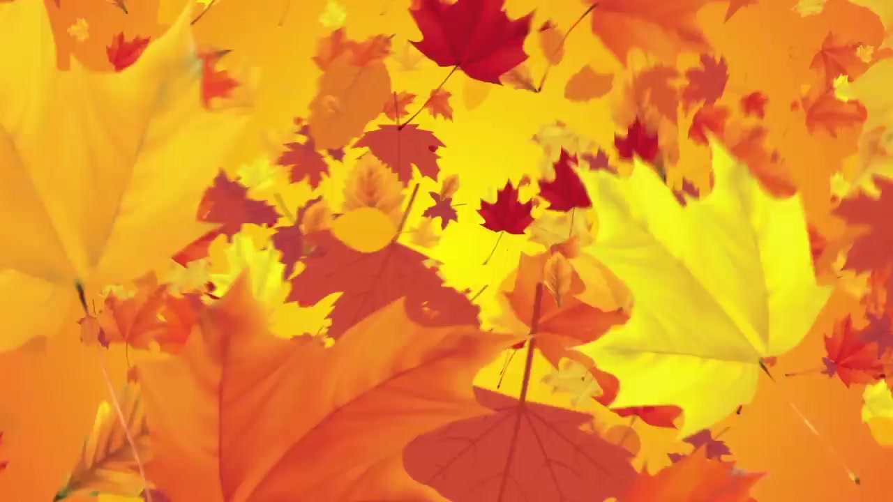 Autumn Festival Promo Videohive 17841199 After Effects Image 5