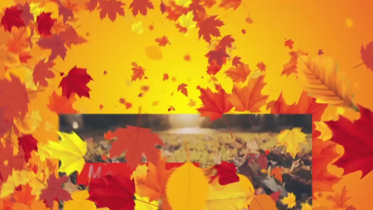 Autumn Festival Promo Videohive 17841199 After Effects Image 6
