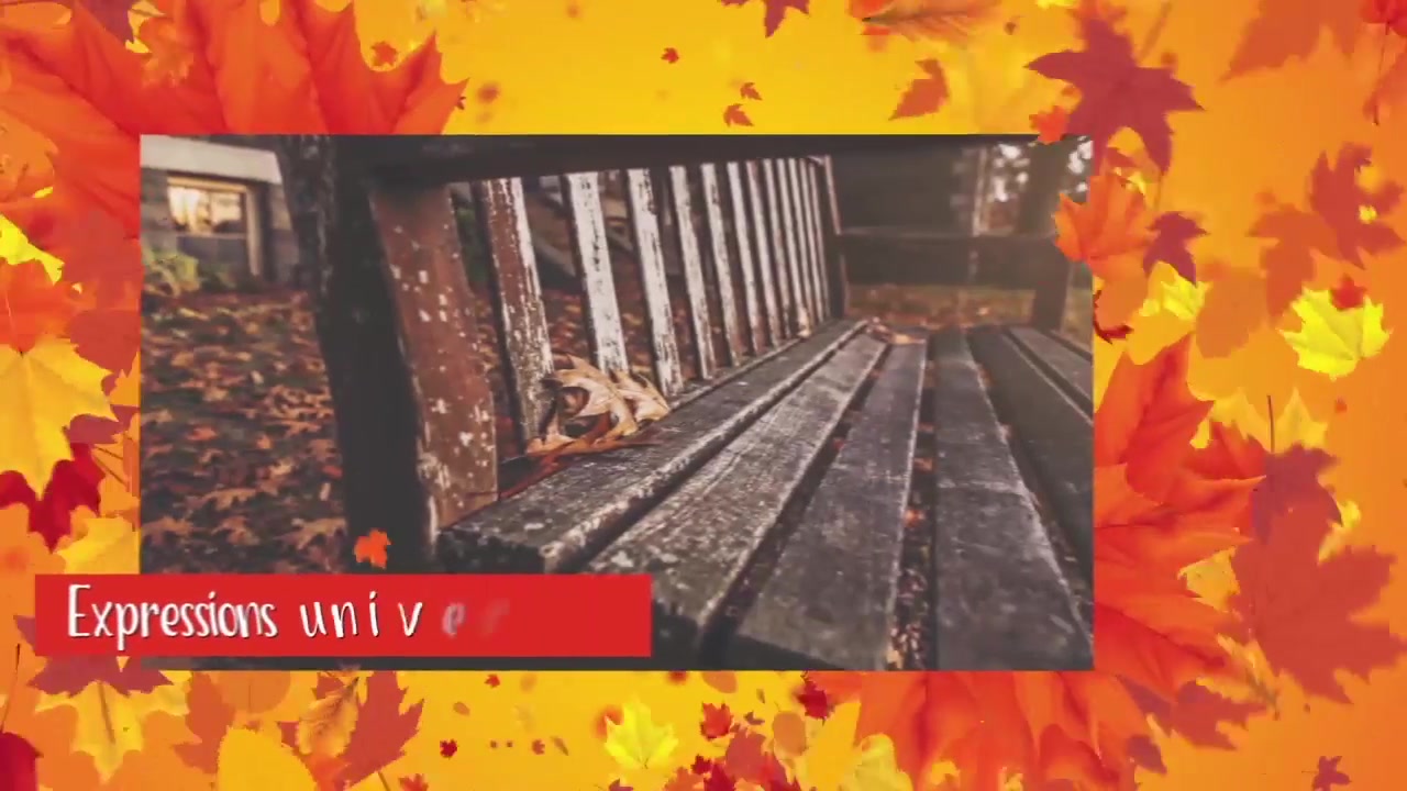 Autumn Festival Promo Videohive 17841199 After Effects Image 7