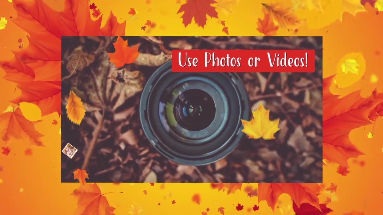 Autumn Festival Promo Videohive 17841199 After Effects Image 8