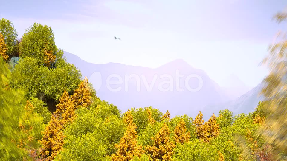 Autumn Forest Nature Logo Videohive 30617950 After Effects Image 2