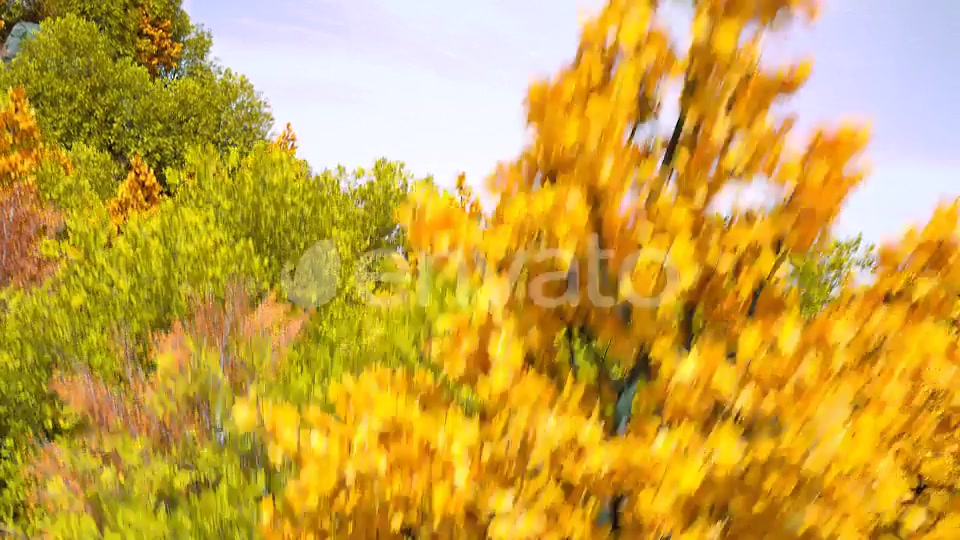 Autumn Forest Nature Logo Videohive 30617950 After Effects Image 3