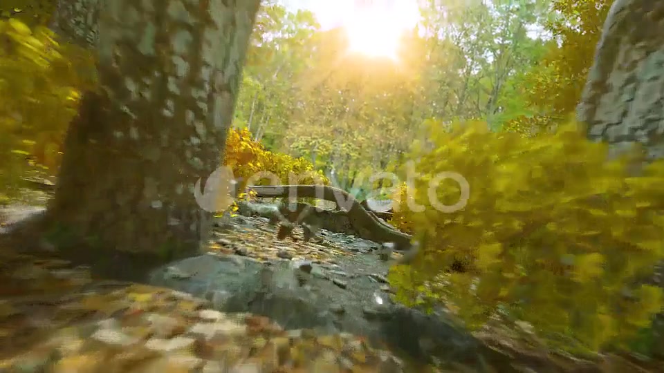 Autumn Forest Nature Logo Videohive 30617950 After Effects Image 5