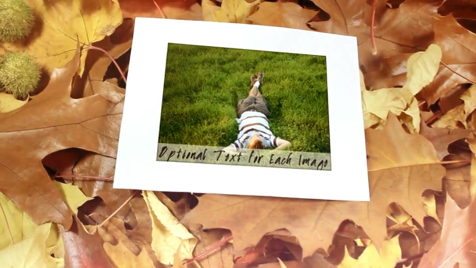 Autumn Gallery - Download Videohive 6000529
