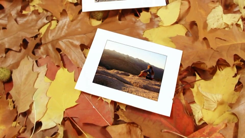 Autumn Gallery - Download Videohive 6000529