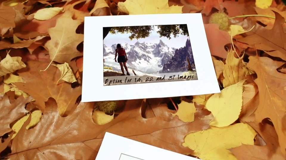 Autumn Gallery - Download Videohive 6000529