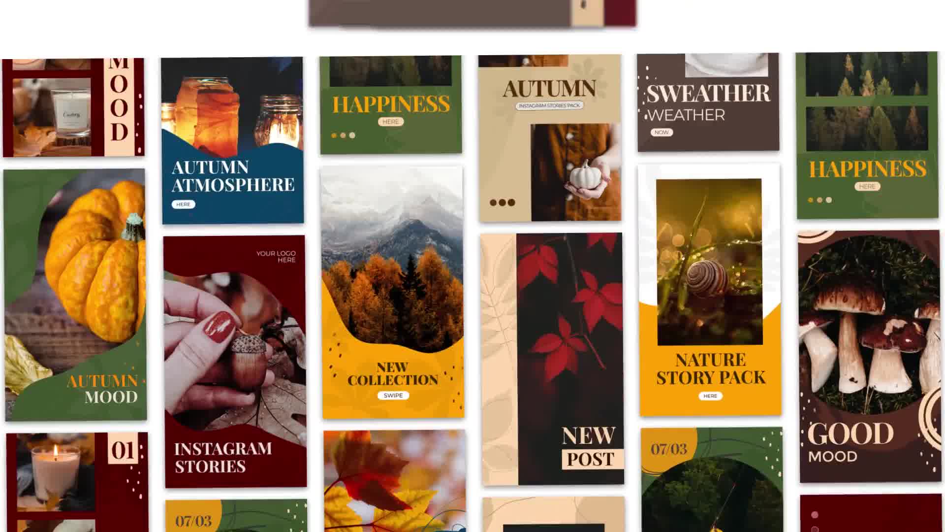 Autumn Instagram Stories Videohive 33899657 After Effects Image 10