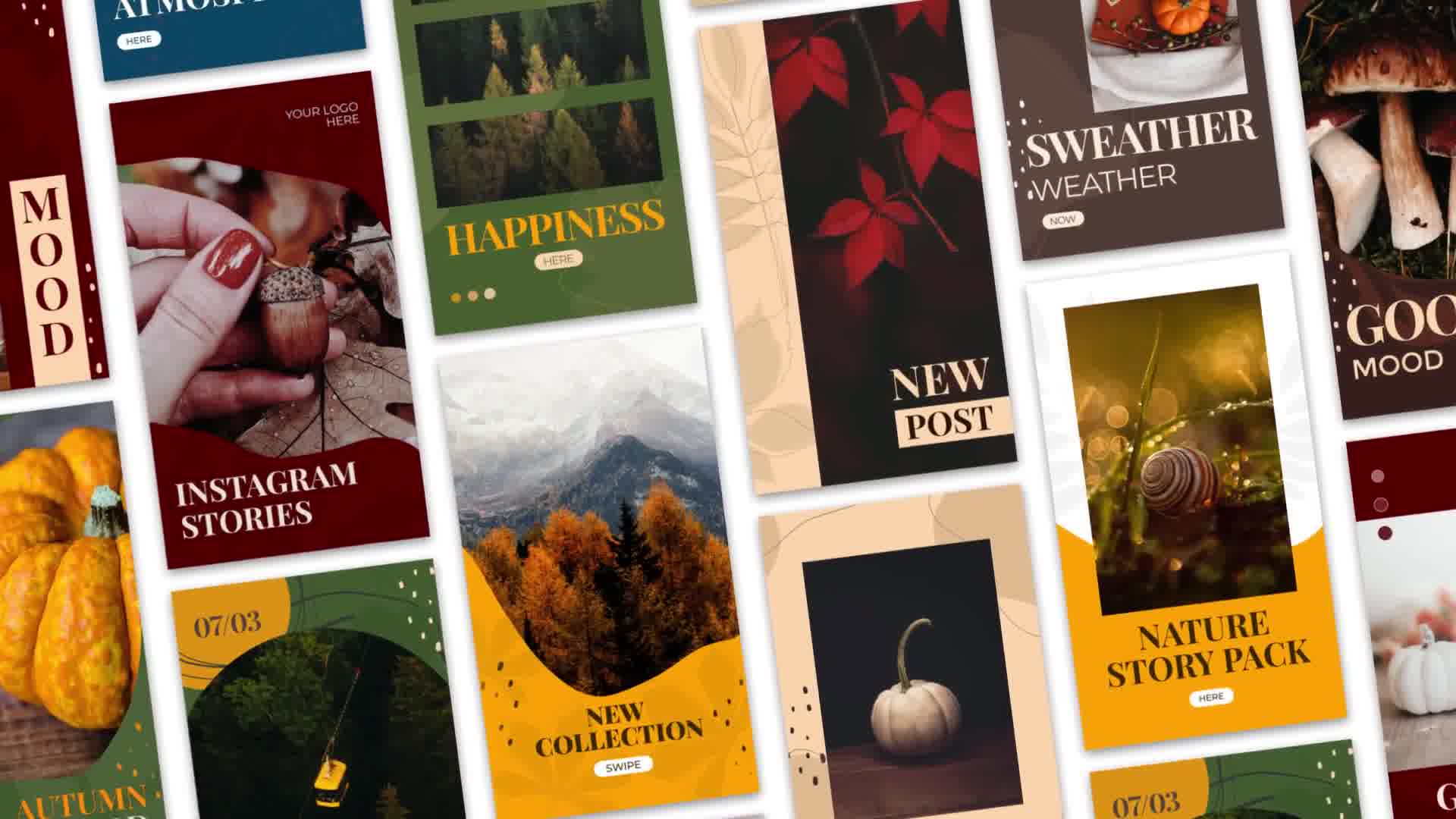 Autumn Instagram Stories Videohive 33899657 After Effects Image 11