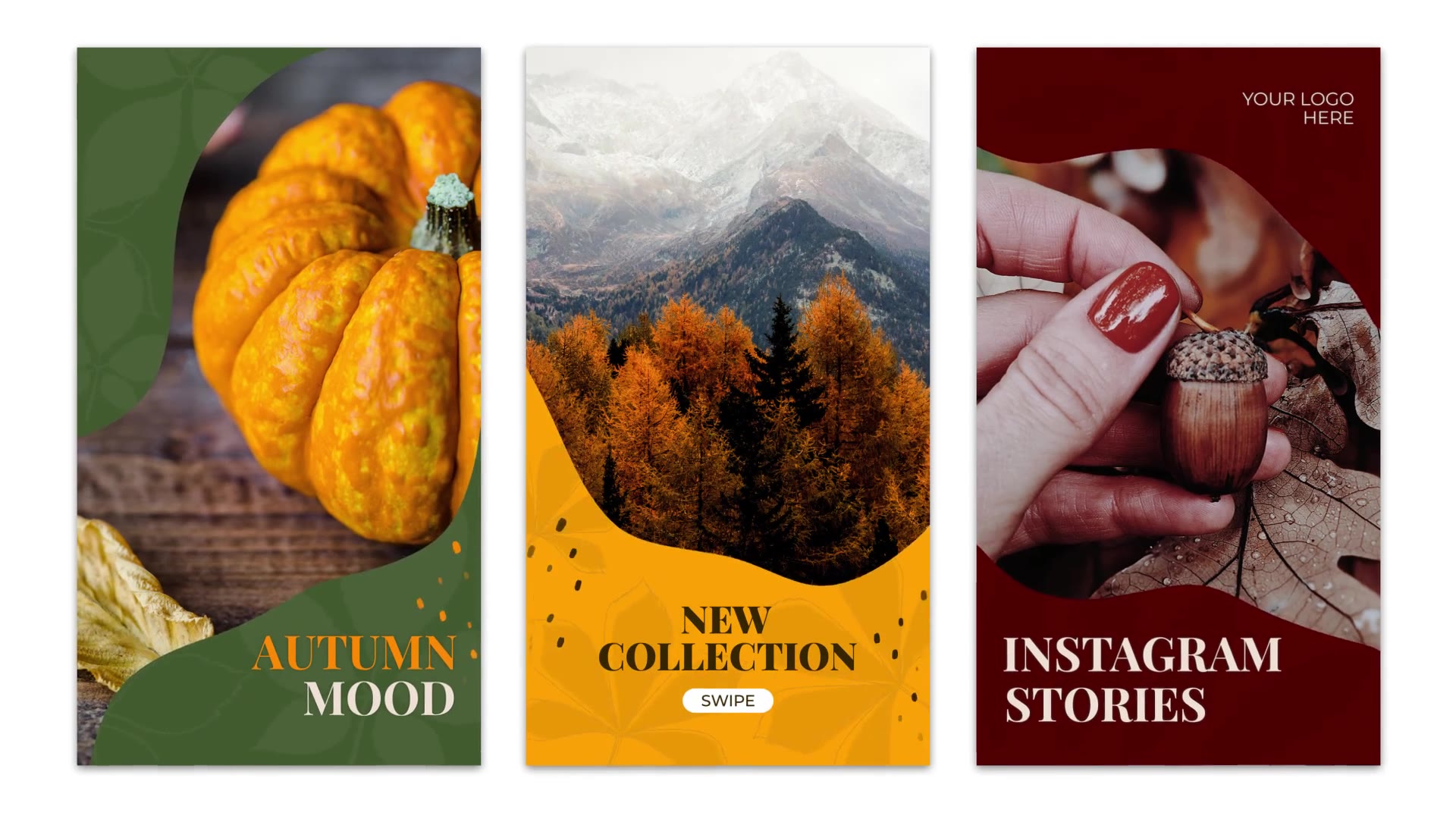 Autumn Instagram Stories Videohive 33899657 After Effects Image 4