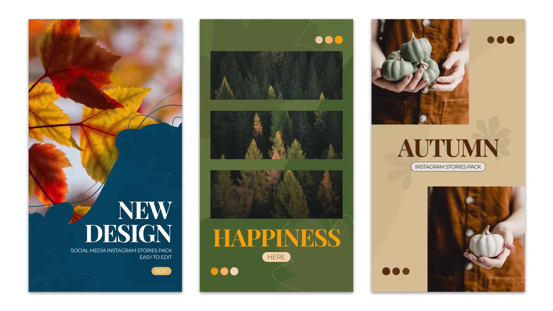 Autumn Instagram Stories Videohive 33899657 After Effects Image 8