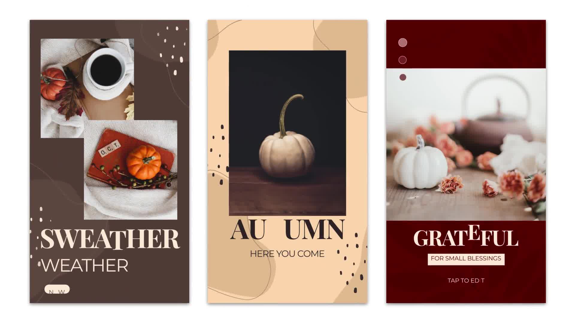 Autumn Instagram Stories Videohive 33899657 After Effects Image 9
