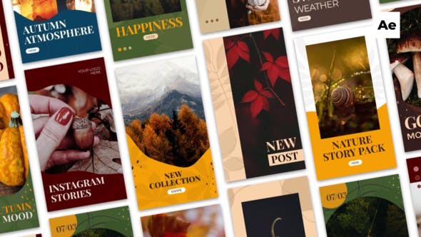 Autumn Instagram Stories - Download Videohive 33899657