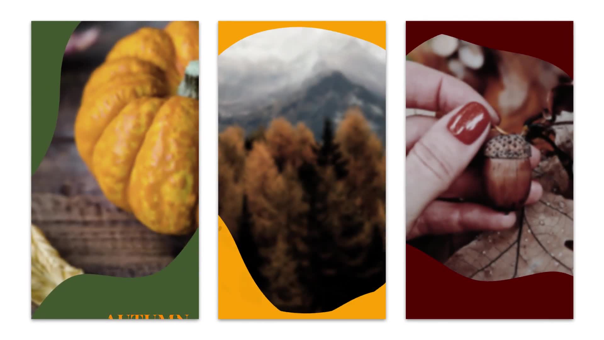 Autumn Instagram Stories Videohive 33926967 Premiere Pro Image 3