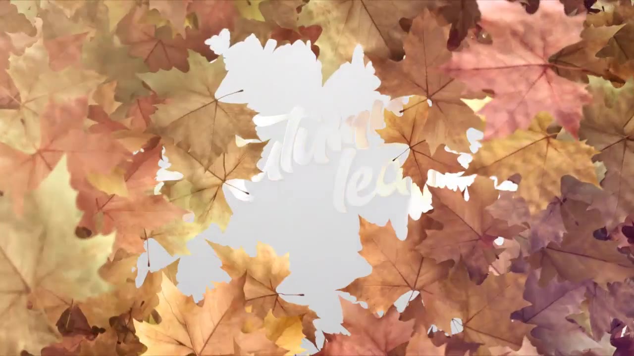 Autumn Leaf Reveal Premiere Pro Videohive 28888804 Premiere Pro Image 3
