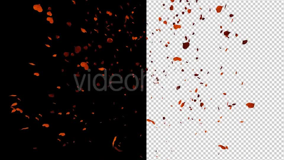 Autumn Leaves - Download Videohive 17890585
