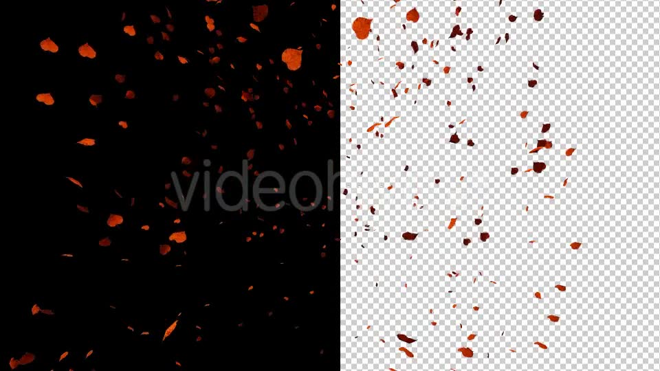 Autumn Leaves - Download Videohive 17890585