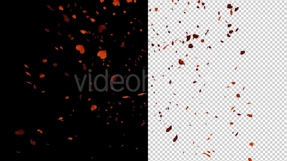 Autumn Leaves - Download Videohive 17890585