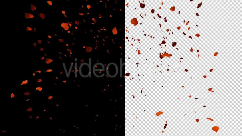 Autumn Leaves - Download Videohive 17890585