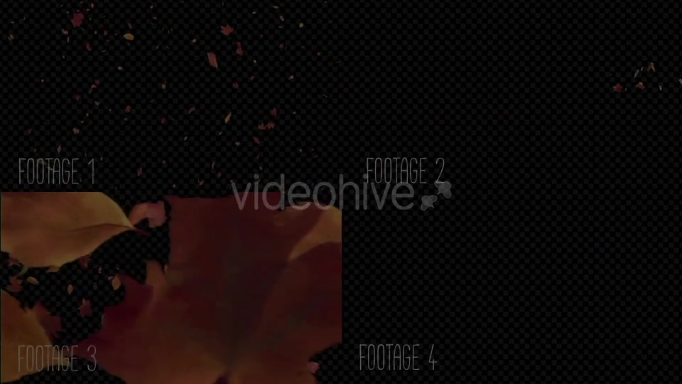 Autumn Leaves Pack Videohive 19314157 Motion Graphics Image 10