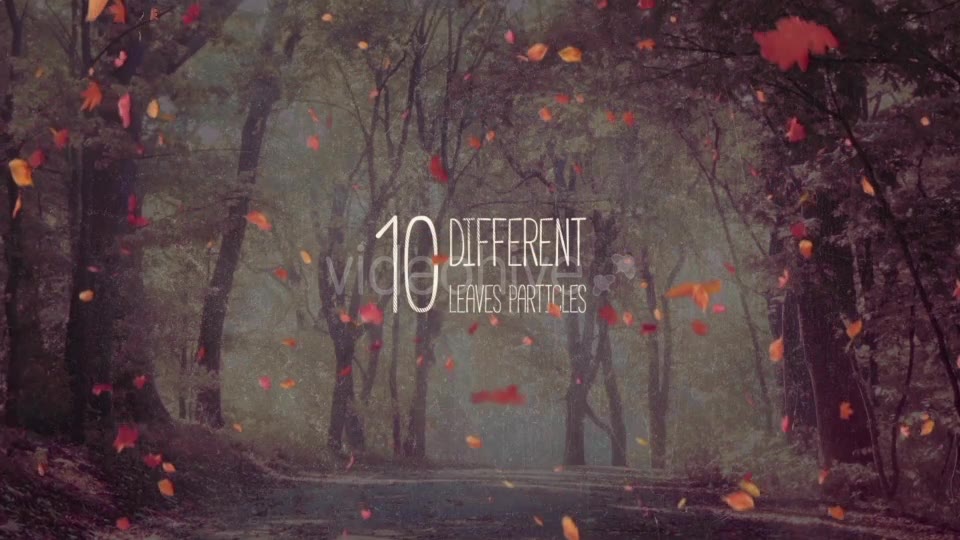 Autumn Leaves Pack Videohive 19314157 Motion Graphics Image 3