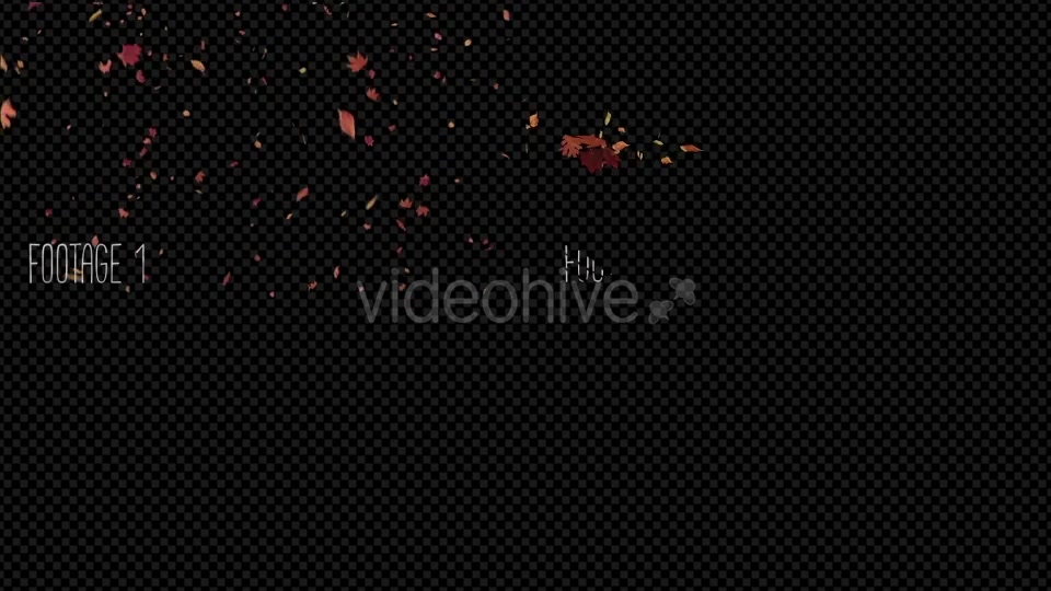 Autumn Leaves Pack Videohive 19314157 Motion Graphics Image 7