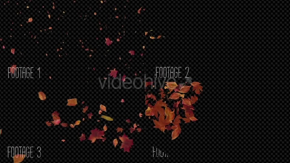 Autumn Leaves Pack Videohive 19314157 Motion Graphics Image 8