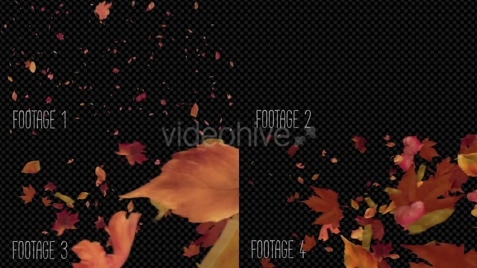 Autumn Leaves Pack Videohive 19314157 Motion Graphics Image 9