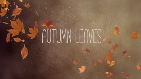 Autumn Leaves Pack - Videohive 19314157 Download
