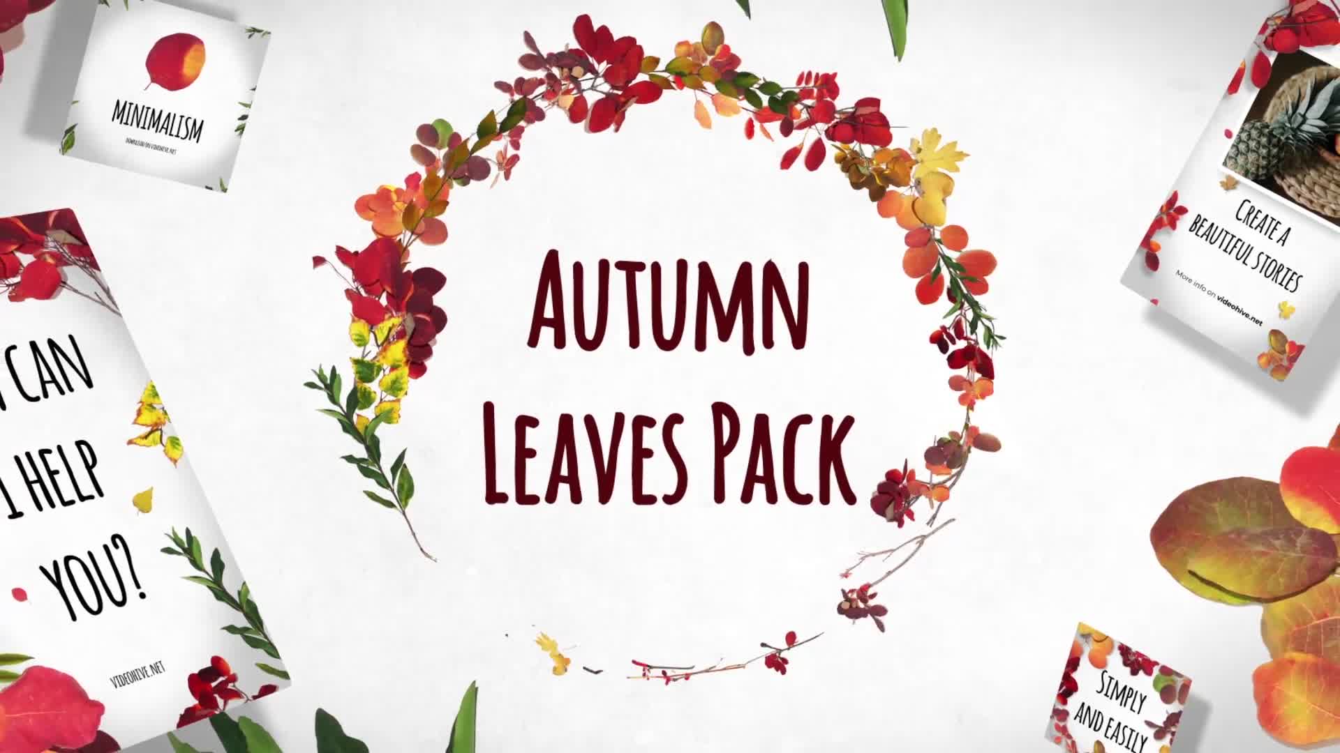 Autumn Leaves Pack Videohive 29195640 After Effects Image 1