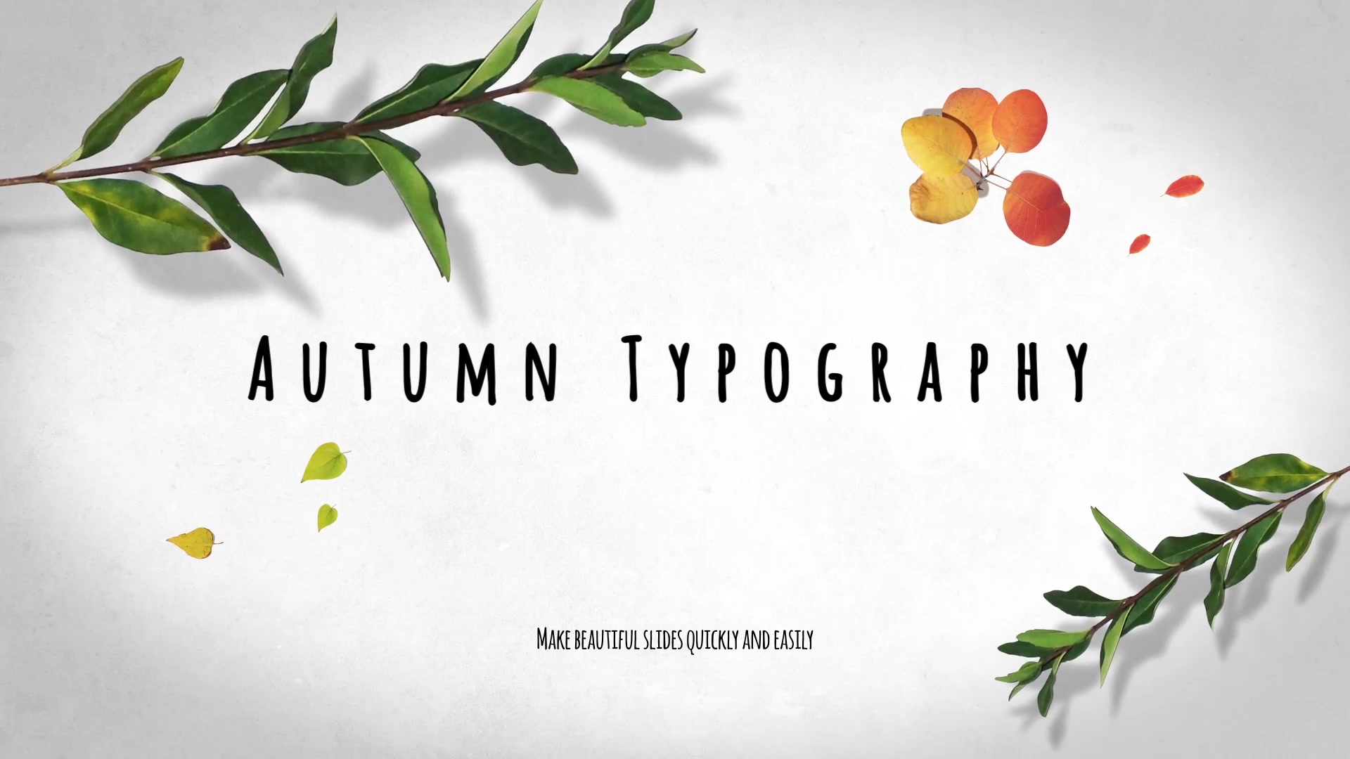 Autumn Leaves Pack Videohive 29195640 After Effects Image 6