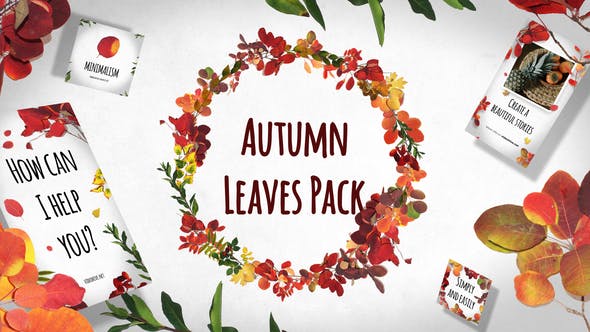 Autumn Leaves Pack - Videohive 29195640 Download