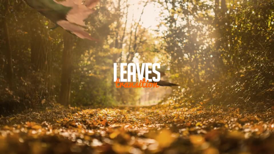 Autumn Leaves Transitions Videohive 17978836 Motion Graphics Image 2