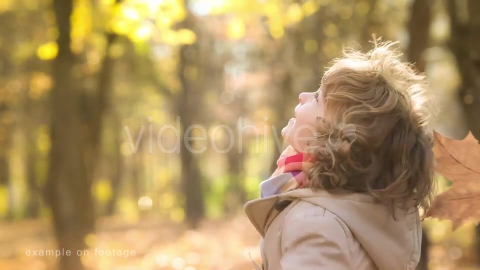 Autumn Leaves Transitions Videohive 17978836 Motion Graphics Image 3