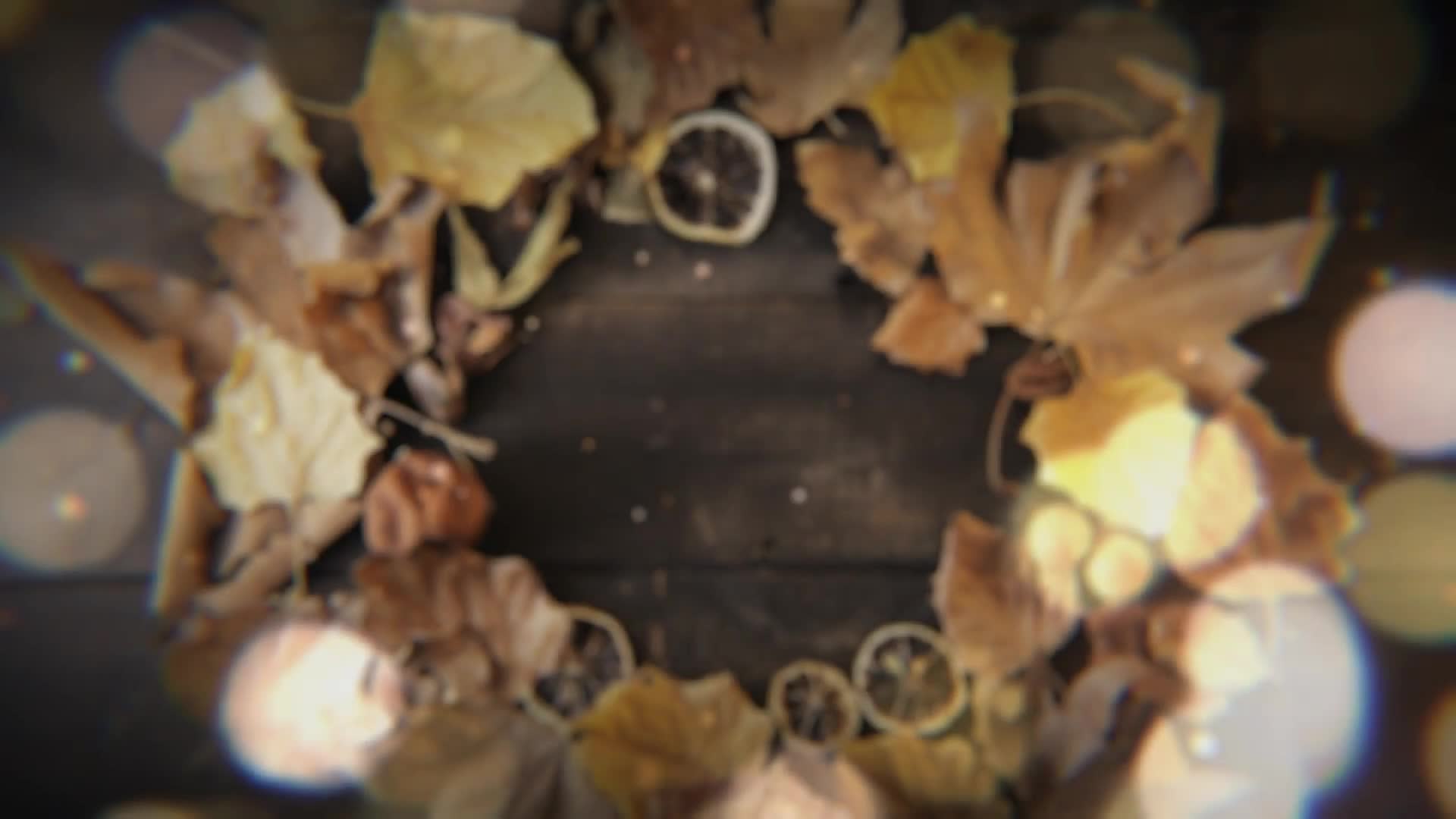 Autumn Logo Videohive 33396820 After Effects Image 1