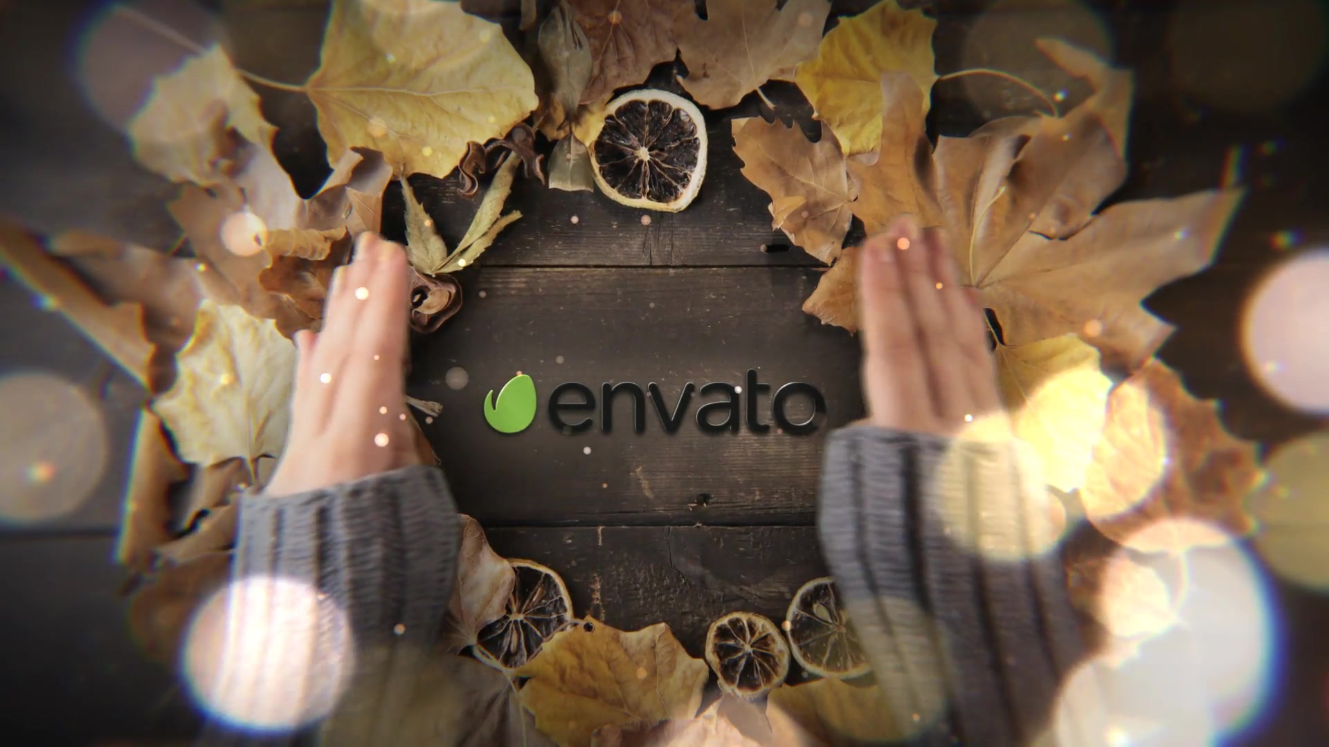 Autumn Logo Videohive 33396820 After Effects Image 4