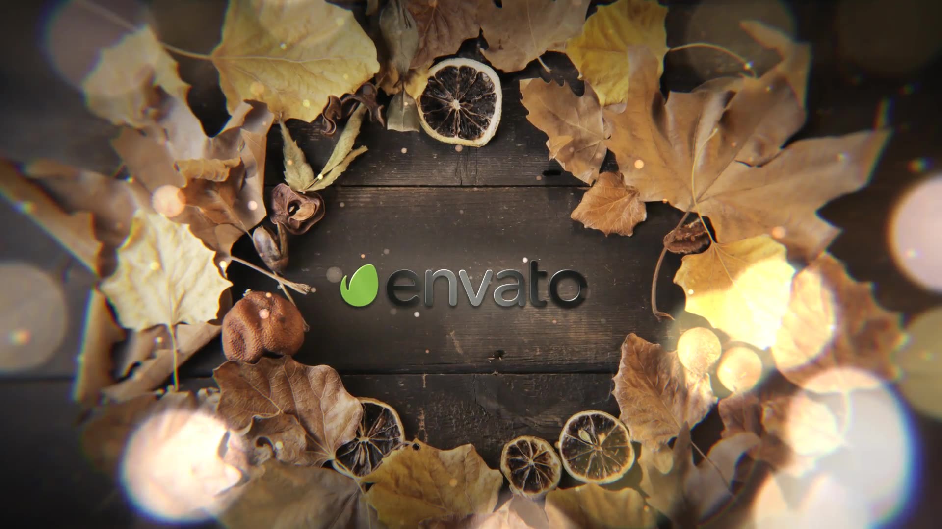 Autumn Logo Videohive 33396820 After Effects Image 5