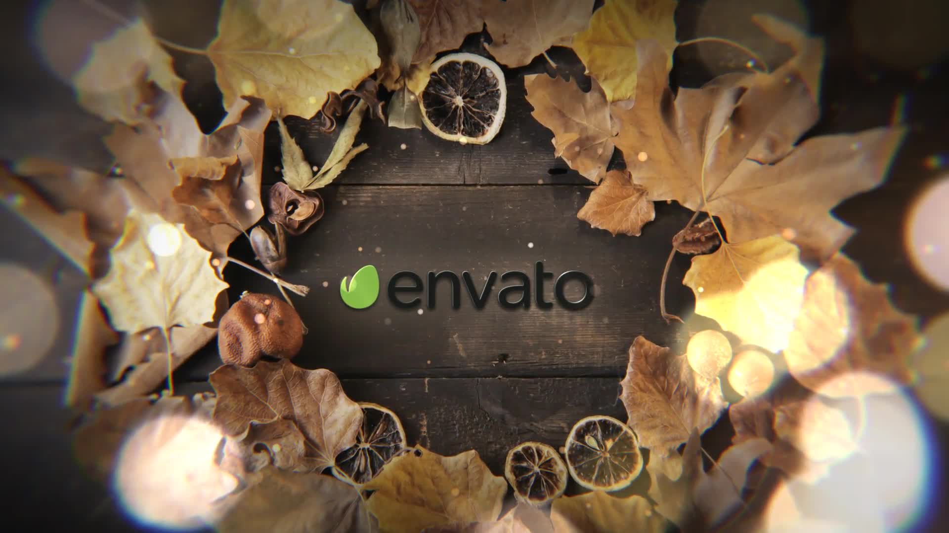 Autumn Logo Videohive 33396820 After Effects Image 6