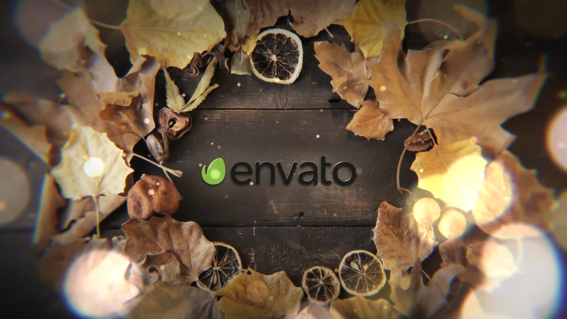 Autumn Logo Videohive 33396820 After Effects Image 7