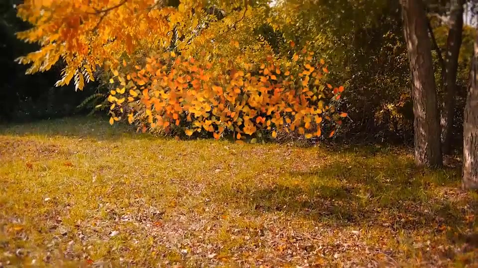 Autumn Logo Videohive 9237706 After Effects Image 4