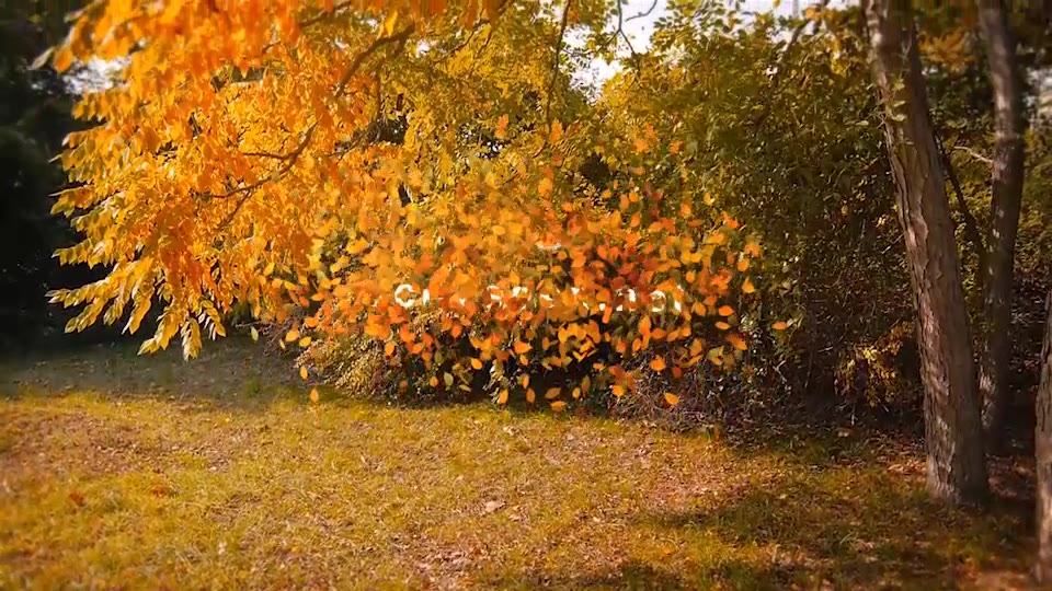 Autumn Logo Videohive 9237706 After Effects Image 5