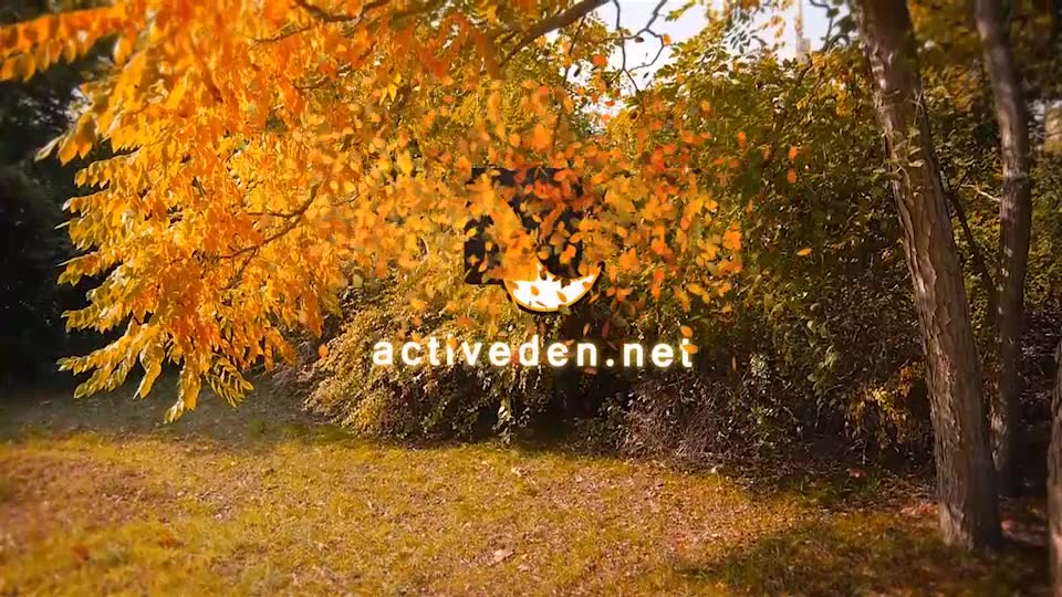 Autumn Logo Videohive 9237706 After Effects Image 6