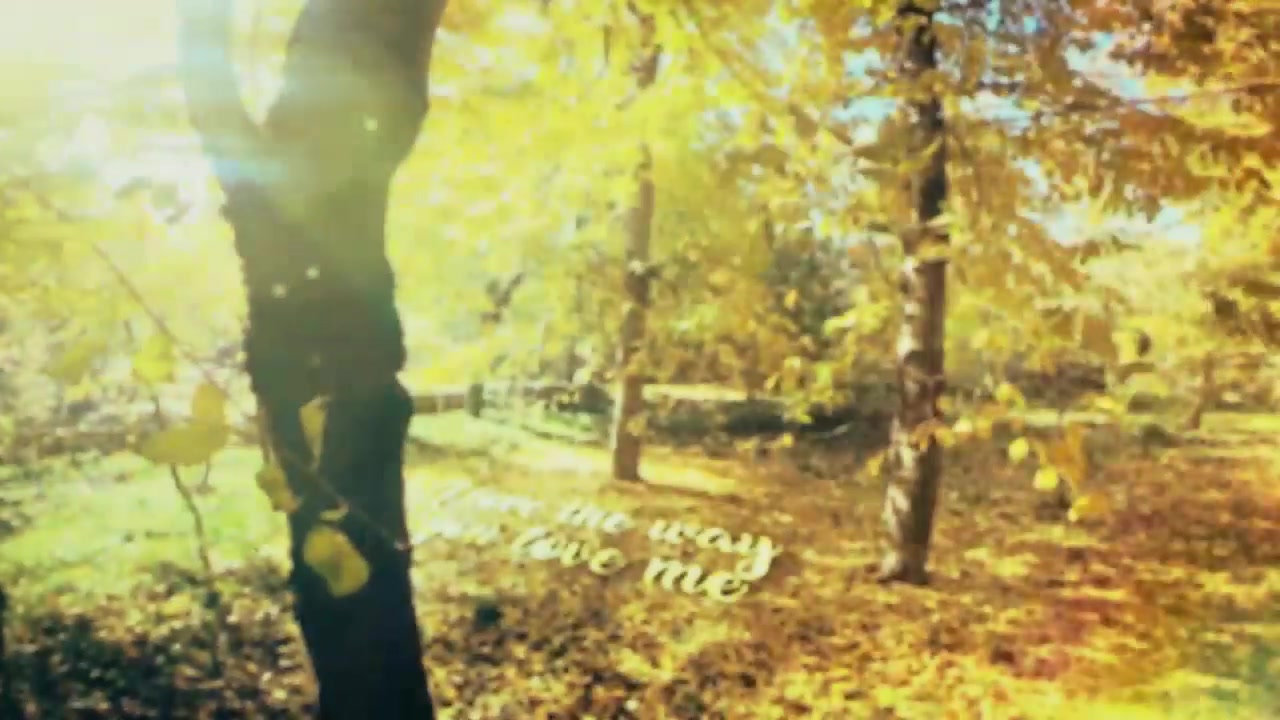 Autumn Love Story Slideshow Videohive 25183556 After Effects Image 8