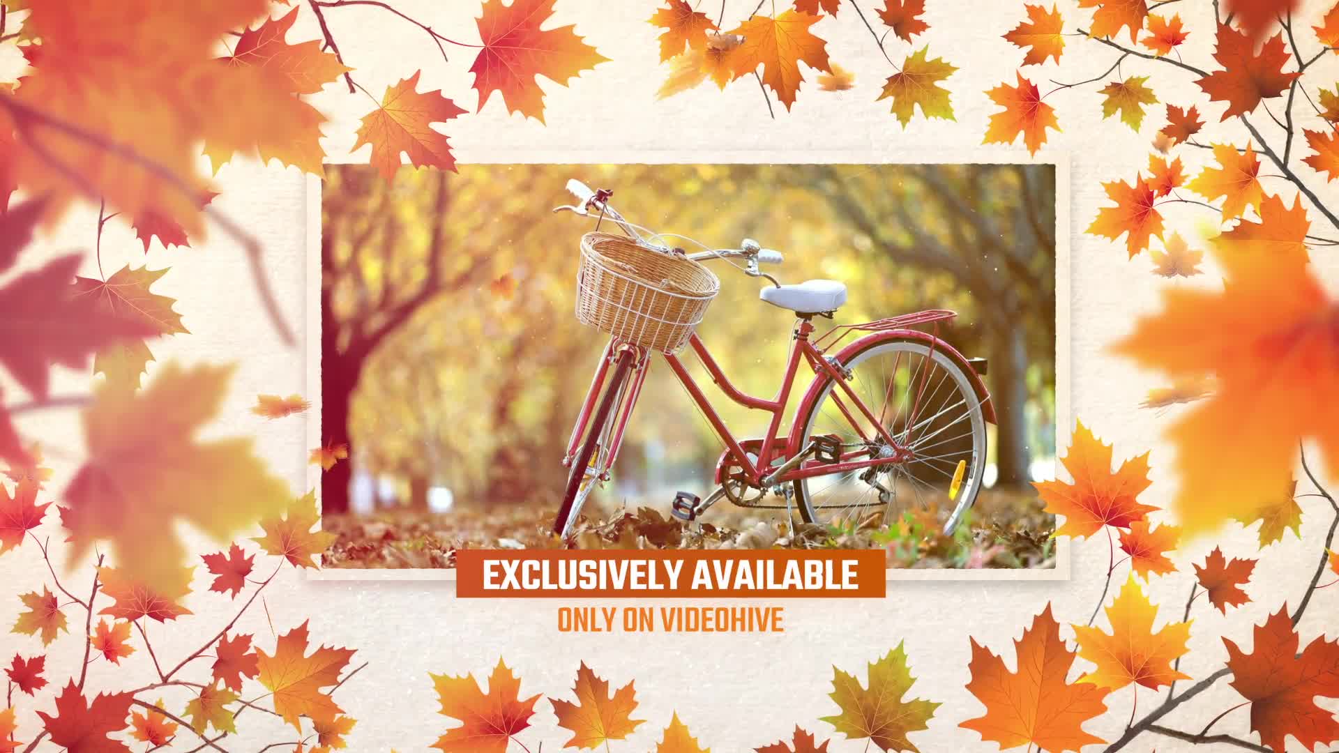 Autumn Memories Slideshow Videohive 34031335 After Effects Image 10